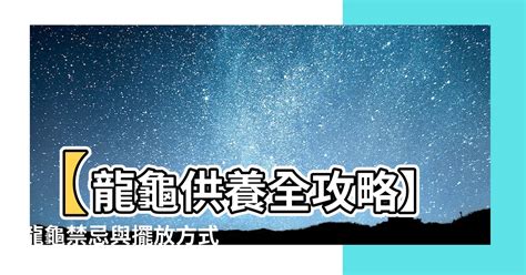 龍龜擺放位置|【龍龜擺放】龍龜擺放攻略：功效、位置、禁忌一覽！。